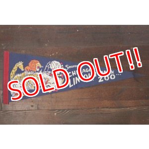 画像: ct-181101-81 Chicago Lincorn Park Zoo / Vintage Pennant