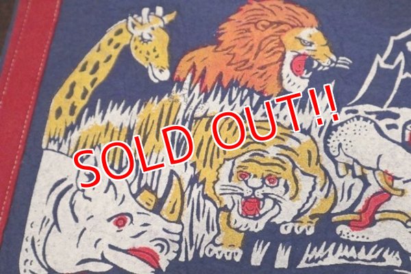 画像2: ct-181101-81 Chicago Lincorn Park Zoo / Vintage Pennant