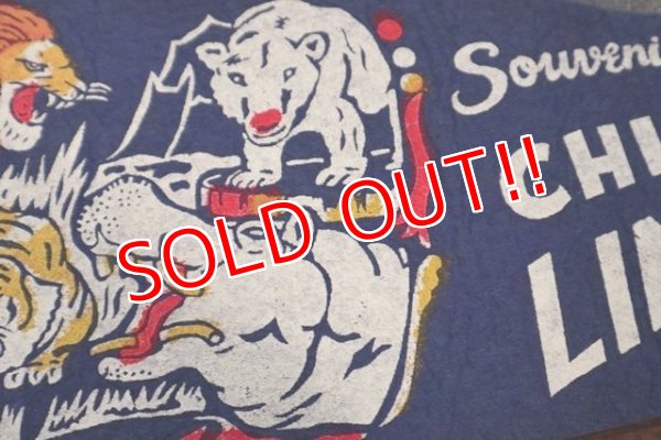 画像3: ct-181101-81 Chicago Lincorn Park Zoo / Vintage Pennant