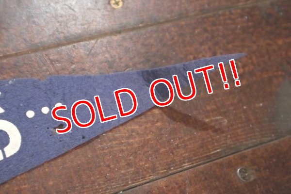 画像6: ct-181101-81 Chicago Lincorn Park Zoo / Vintage Pennant