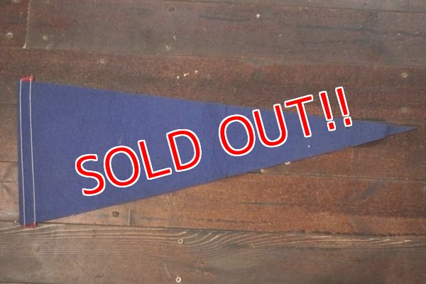 画像7: ct-181101-81 Chicago Lincorn Park Zoo / Vintage Pennant