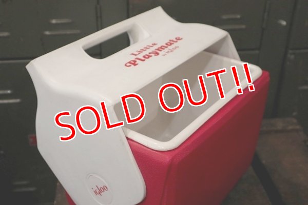 画像7: dp-181115-07 igloo / Little Playmate Cooler Box