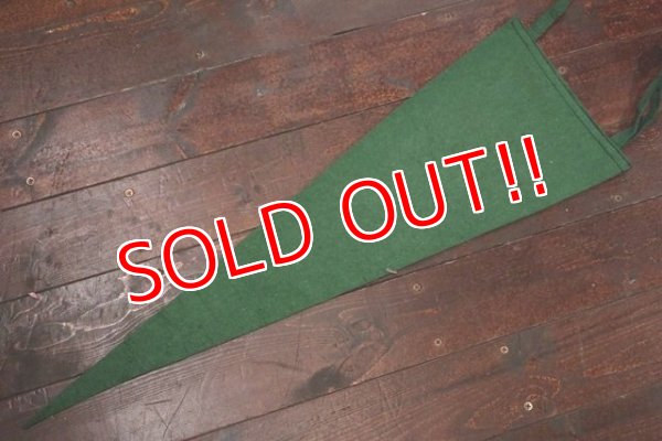 画像6: dp-181115-04 SIUOX FALLS / 1950's Pennant