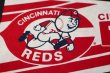 画像2: dp-181115-05 CINCINNATI REDS / 1980's Pennant