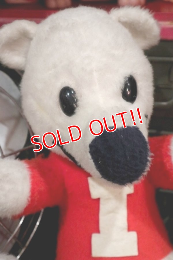 画像2: ct-181203-53 ICEE BEAR / 1970's Plush Doll