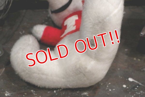 画像6: ct-181203-53 ICEE BEAR / 1970's Plush Doll
