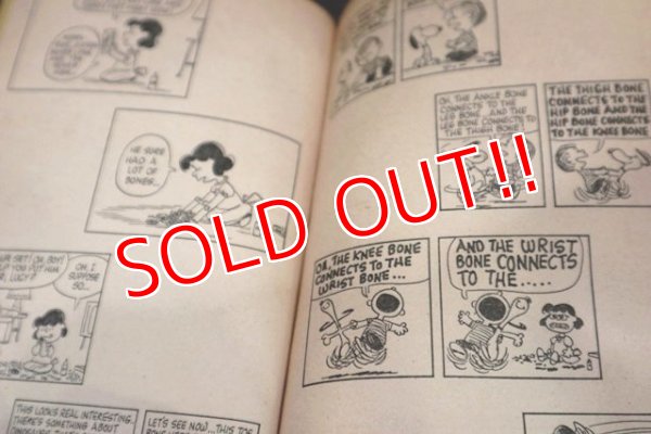 画像5: ct-181203-77 PEANUTS / 1970 Comic "You've Done It Again,Charlie Brown"