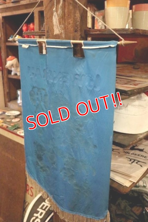 画像7: dp-190201-12 Lowenbrau / 1970's Banner