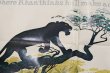 画像3: ct-1902021-53 The Jungle Book / 1970's Movie Poster