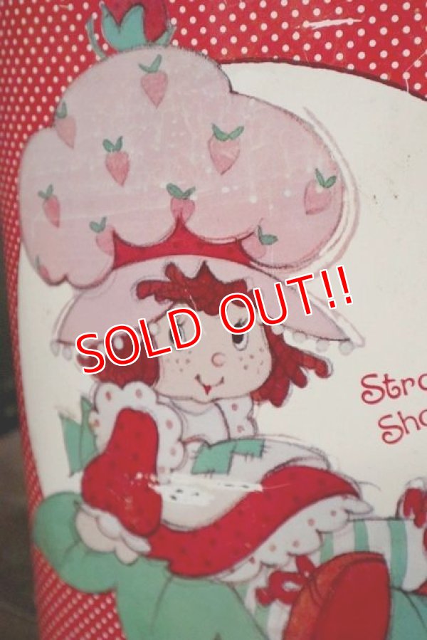 画像5: ct-1902021-10 Strawberry Shortcake / Cheinco 1980's Trash Box