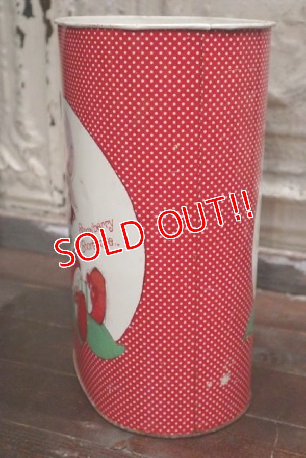 画像8: ct-1902021-10 Strawberry Shortcake / Cheinco 1980's Trash Box