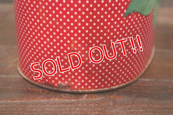 画像9: ct-1902021-10 Strawberry Shortcake / Cheinco 1980's Trash Box