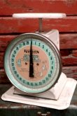 画像1: dp-190201-52 HANSON / 1950's Nursery Scale 