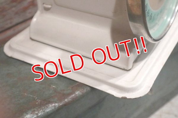 画像9: dp-190201-52 HANSON / 1950's Nursery Scale 