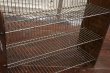 画像3: dp-190201-97 LANCE / 1970's Store Display Wire Rack