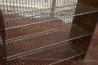 画像3: dp-190201-97 LANCE / 1970's Store Display Wire Rack