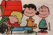 画像4: ct-150115-08 PEANUTS / 1970's Pillow Case