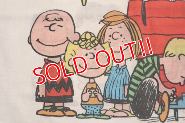 画像3: ct-150115-08 PEANUTS / 1970's Pillow Case