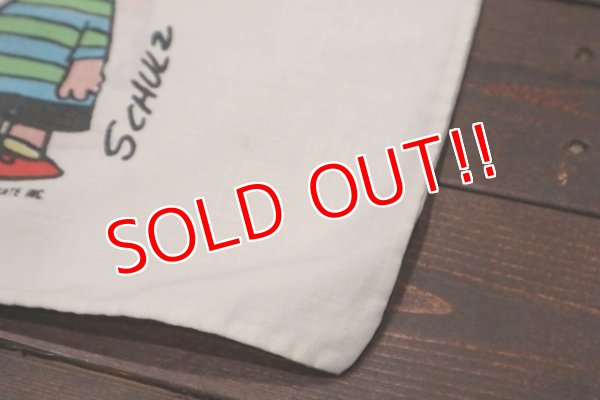 画像6: ct-150115-08 PEANUTS / 1970's Pillow Case