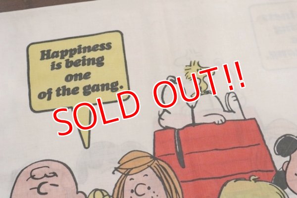 画像2: ct-150115-08 PEANUTS / 1970's Pillow Case