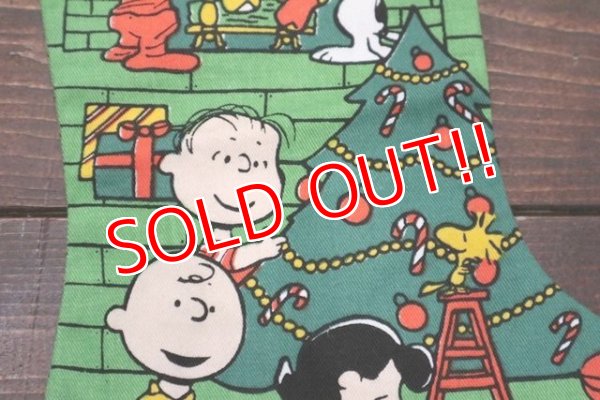 画像3: ct-190301-34 Snoopy / Christmas Sox