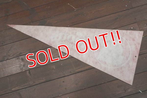 画像7: ct-190301-28 Knott's Berry Farm / Camp Snoopy Pennant