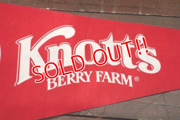 画像3: ct-190301-28 Knott's Berry Farm / Camp Snoopy Pennant