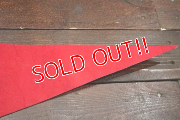 画像6: ct-190301-28 Knott's Berry Farm / Camp Snoopy Pennant