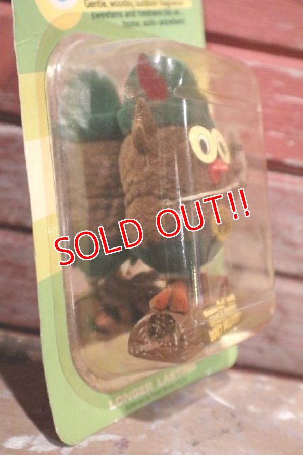 画像3: ct-190401-07 Woodsy Owl / 1970's Air Freshner