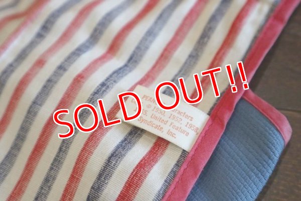 画像9: ct-190401-44 PEANUTS / 1970's Wall Pocket