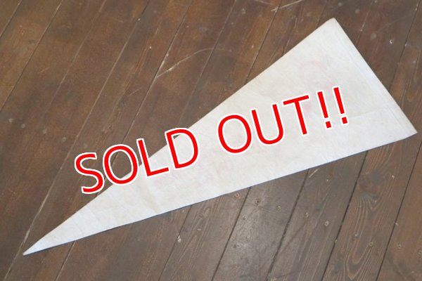 画像8: ct-190402-28 Walt Disney's / Magic Kingdom on Ice 1990's Pennant