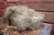 画像5: ct-190501-05 Mookiee the Ewok / Kenner 1980's Stuffed Figure