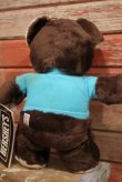 画像5: ct-190605-31 HERSHEY'S / Hershey Bear 1982 Plush Doll