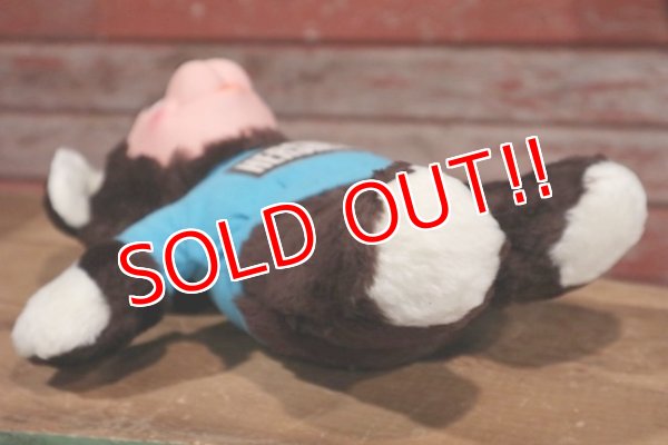 画像6: ct-190605-31 HERSHEY'S / Hershey Bear 1982 Plush Doll