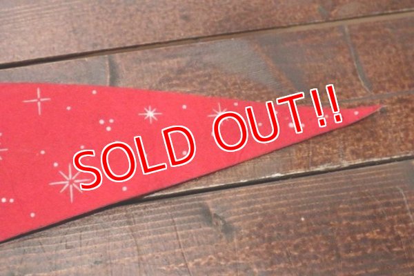 画像6: ct-190605-71 Walt Disney's / World on Ice 1970's Pennant