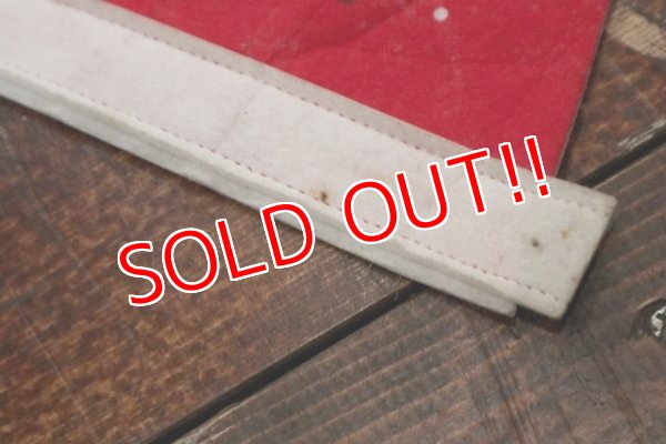 画像7: ct-190605-71 Walt Disney's / World on Ice 1970's Pennant