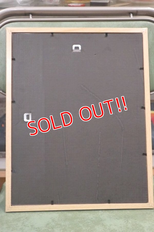 画像6: dp-190701-26 General Foods / Birds Eye Frosted Foods 1956 Advertisement