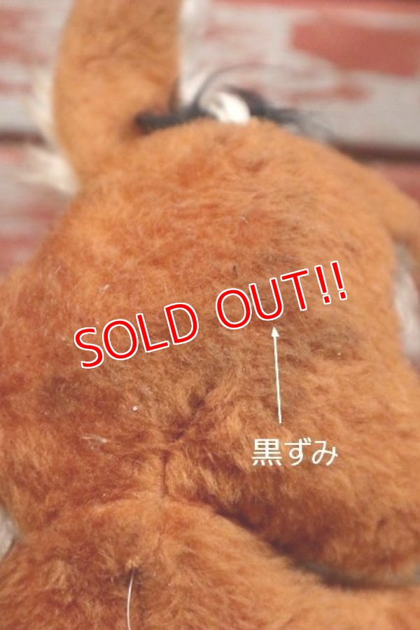 画像6: ct-190905-27 Wile E. Coyote / Mighty Star 1970's Plush Doll