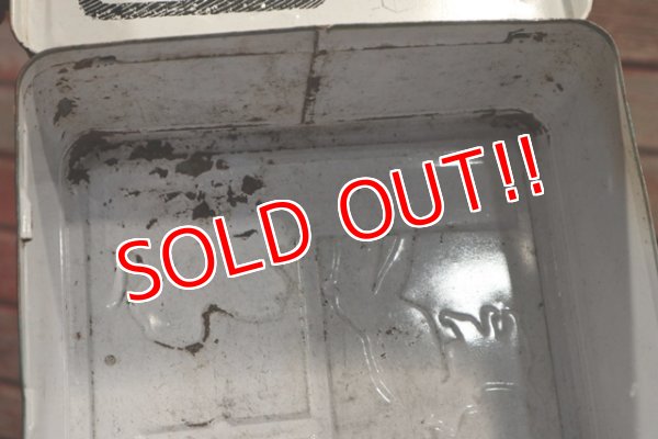 画像12: ct-190905-75 The Rescuers / Aladdin 1970's Lunch Box