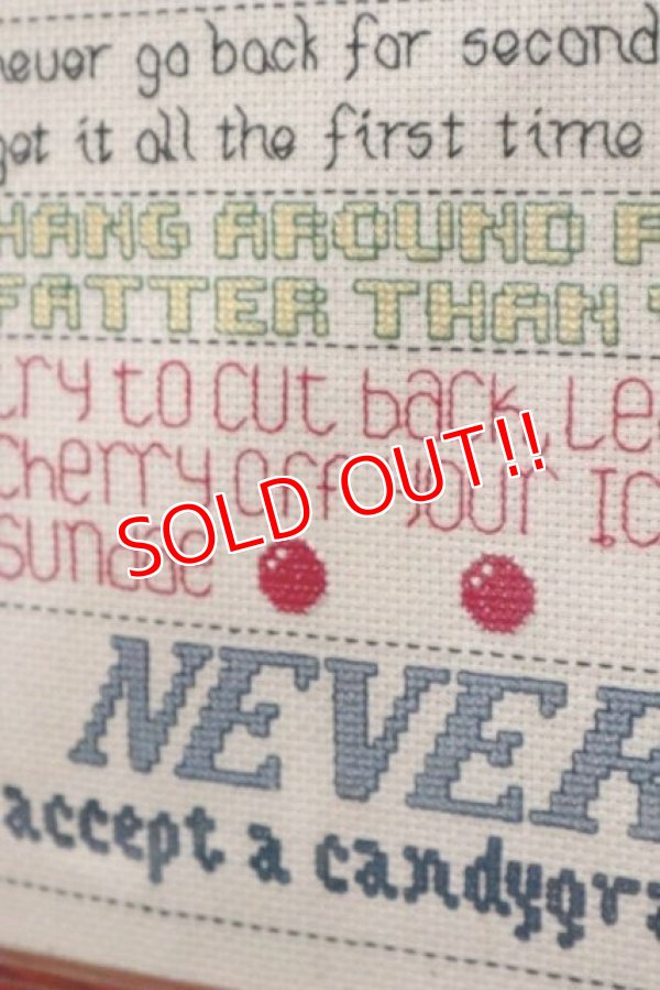 画像5: ct-190905-88 Garfield / 1980's Cross-stitch Wall Deco