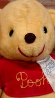 画像2: ct-190905-71 Winnie the Pooh / Grad Nite 1982 Plush Doll