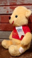 画像3: ct-190905-71 Winnie the Pooh / Grad Nite 1982 Plush Doll