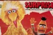 画像2: ct-190910-03 Sesame Street / SURPRISE! 1983 Record
