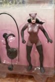 画像2: ct-170501-37 LEGENDS OF BATMAN / Kenner 1994 CATWOMAN