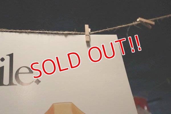 画像6: ct-190910-91 Smokey Bear / 1990's Poster