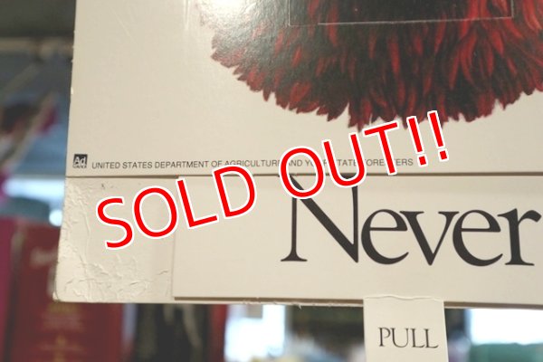 画像5: ct-190910-91 Smokey Bear / 1990's Poster