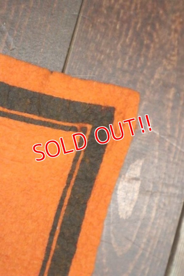 画像6: ct-191001-29 PEANUTS / 1960's Banner "Charlie Brown" Orange