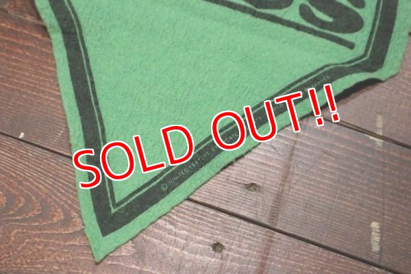 画像6: ct-191001-30 PEANUTS / 1960's Banner "Linus" Green