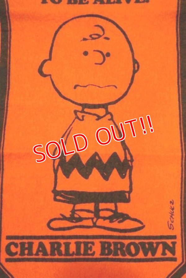 画像3: ct-191001-29 PEANUTS / 1960's Banner "Charlie Brown" Orange