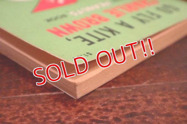 画像6: ct-191001-110 PEANUTS / 1960's Comic "Go Fly a Kite,Charlie Brown"